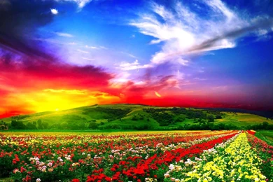 Beautiful Full HD Wallpapers