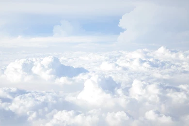 ZsaZsa Bellagio – Like No Other: Sitting On A White Cloud