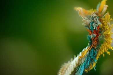 Micro Object Exclusive HD Wallpapers