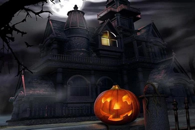 Pumpkin   Flikie Wallpapers