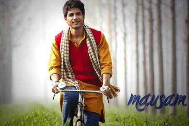 Bollywood Chocolate Boy Shahid Kapoor Latest Wallpapers & Photos ...