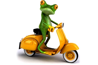 Animals Wallpapers   HD Desktop Backgrounds   Page 80