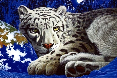 3D Tiger Wallpapers   Wallpapers HD Wide