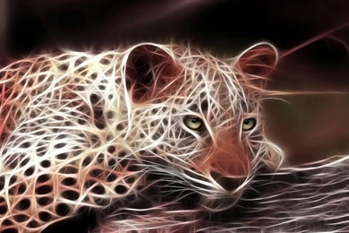 High Resolution Cool 3D Animal Backgrounds Wallpapers HD 15 Full ...
