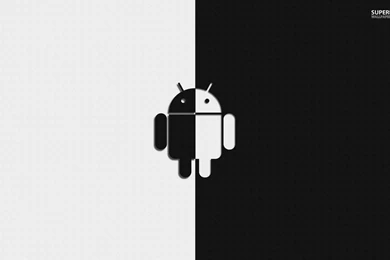 Black And White Android Wallpapers   Computer Wallpapers