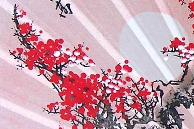 Chinese Wall Fans :: Purity Blossoms