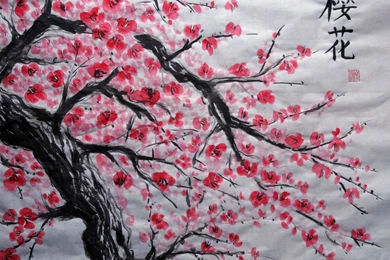 Cherry Blossoms Twitter Backgrounds, Cherry Blossoms Twitter Themes