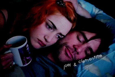 Joel & Clementine   Eternal Sunshine Wallpapers (14763116)   Fanpop