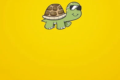 Download Cute Turtle Wallpapers For iPhone 6574 1080x1920 Px High ...