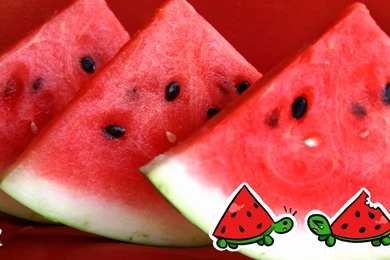 Watermelon Turtles Wallpapers By StarValerian On DeviantArt