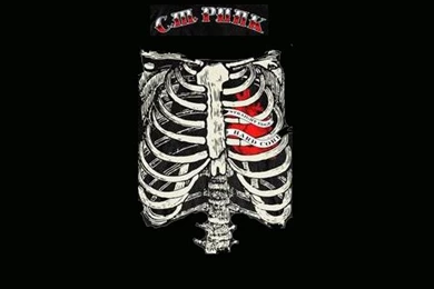 CM Punk By Dark AngeL 21 On DeviantArt