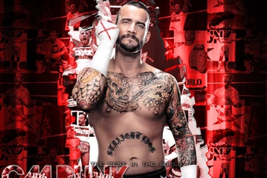 CM Punk Best In The World Wallpapers   CM Punk Wallpapers (30529989 ...