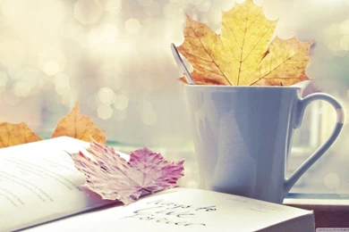 50+ HD Vintage Wallpapers Of 2015