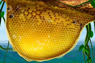 1920x1200 Honeycomb Desktop PC And Mac Wallpapers