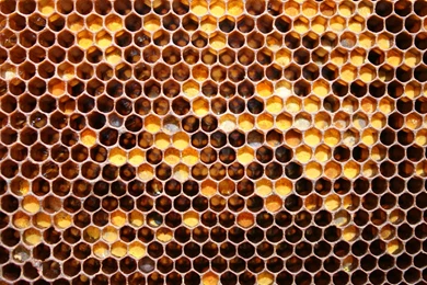 Honeycomb Wallpapers