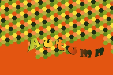 Colorful Honeycomb Pattern Wallpapers   Vector Wallpapers