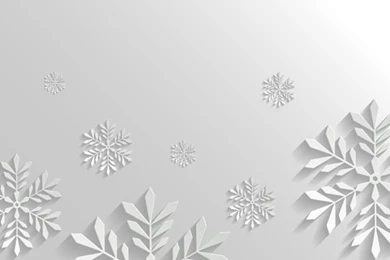 Paper Floral White Christmas Backgrounds Vector 04   Vector ...