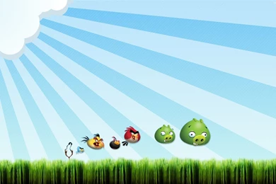 Angry Birds Wallpapers   Wallpapers