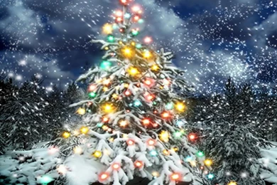 Digital Christmas Backgrounds Promotion Shop For Promotional ...