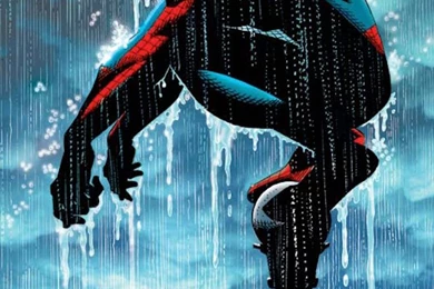 Pics, Facts, Funny Stuff About Animals & Nature Spiderman Iphone ...