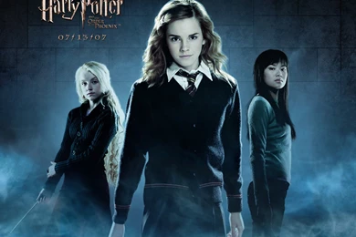 Harry Potter   Harry Potter Movies Wallpapers (2254756)   Fanpop