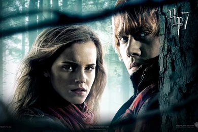 Harry Potter And The Deathly Hallows   Part I   Harry Potter ...