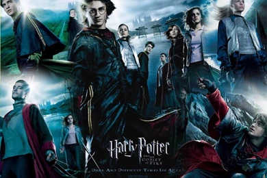 Cool Papa E's Complete Harry Potter Movie Series Reviews