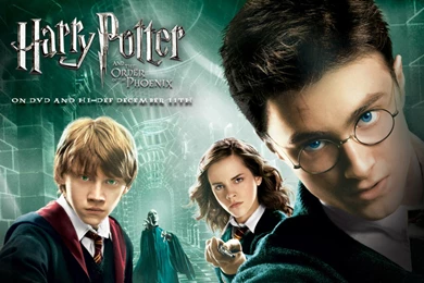 Harry Potter Ron Weasley And Hermione Granger, Movies, 1920x1080 ...