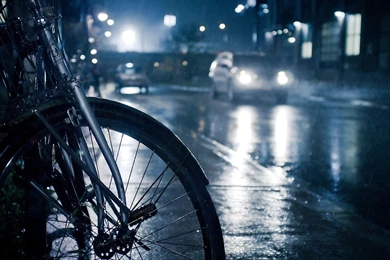 Streets, Rain, Cars, Bicycles :: Wallpapers