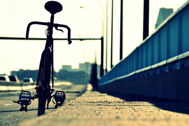 Hd Wallpapers Racing Bicycles   Welcome To TrueHDWallpapers.com