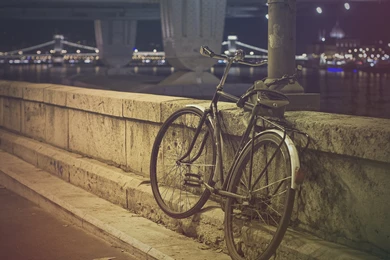 Download Bicycles Men Wallpapers 1680x1050