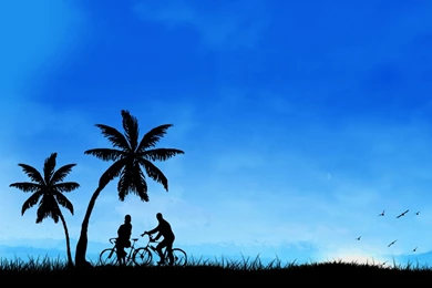 Bicycles In The Field Wallpapers
