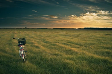 7555_Lost bicycle on the green field in the nature.jpg