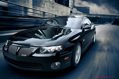 Overseas Versions Of Commodores   Street Commodores Online Forum