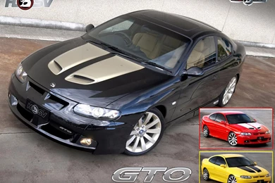 Holden Monaro 2006   Image