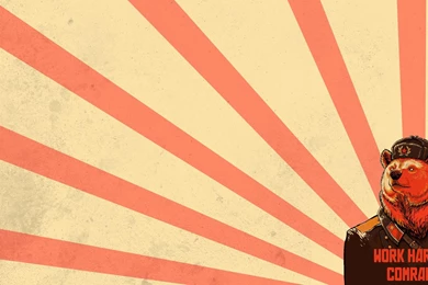Work Harder Soviet Bear HD Wallpapers