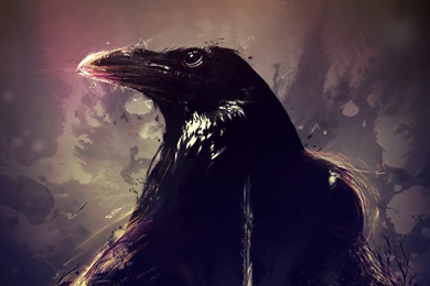 Crow Artwork Wallpapers