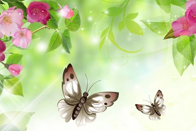 Natures Best HD Desktop Wallpapers : Widescreen : High Definition ...