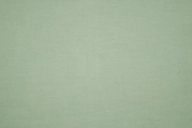 Jestingstock.com Image Sage Green