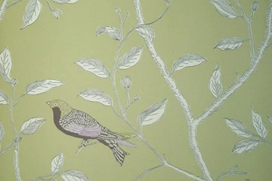 Sage Green Finches Wallpapers By Sanderson
