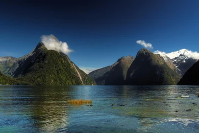 Mother Natures Best   (