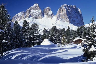 Nature's Wonder Wallpapers   4562