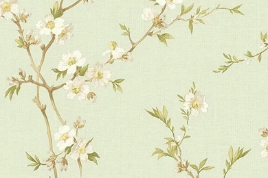 Cherry Blossoms Sage Double Roll Wallpapers   Murals For Kids