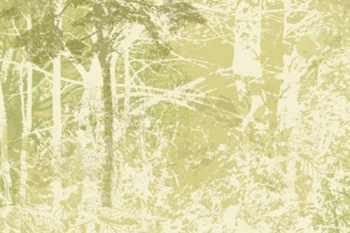 Dark Green Trees On Sage Green And White Tree Silhouettes ...