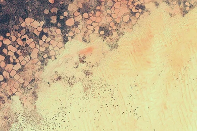 Android 5.0 Lollipop Wallpapers: See The Full Pack Here