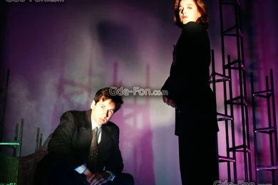 31662_sekretnye materialy_or_the x files_1600x1200_www.Gde Fon.com.jpg