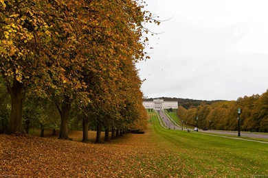 Download 1600x900 Valley In Ireland Wallpapers