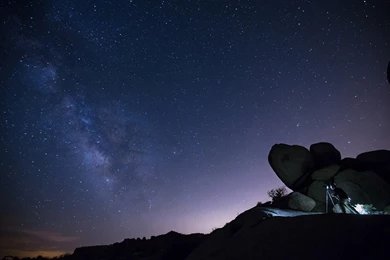 Star Gazer Wallpapers   Nexus Wallpapers