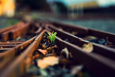 Nexus 7 Wallpapers 41