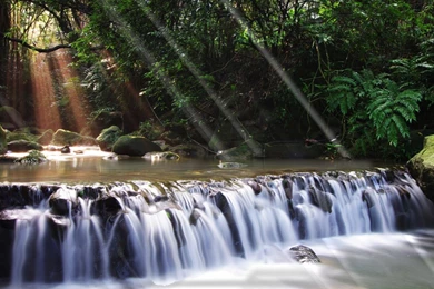 3d Moving Wallpapers Of Nature